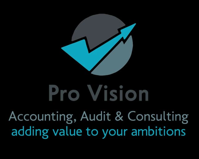 The Pro Vision Logo